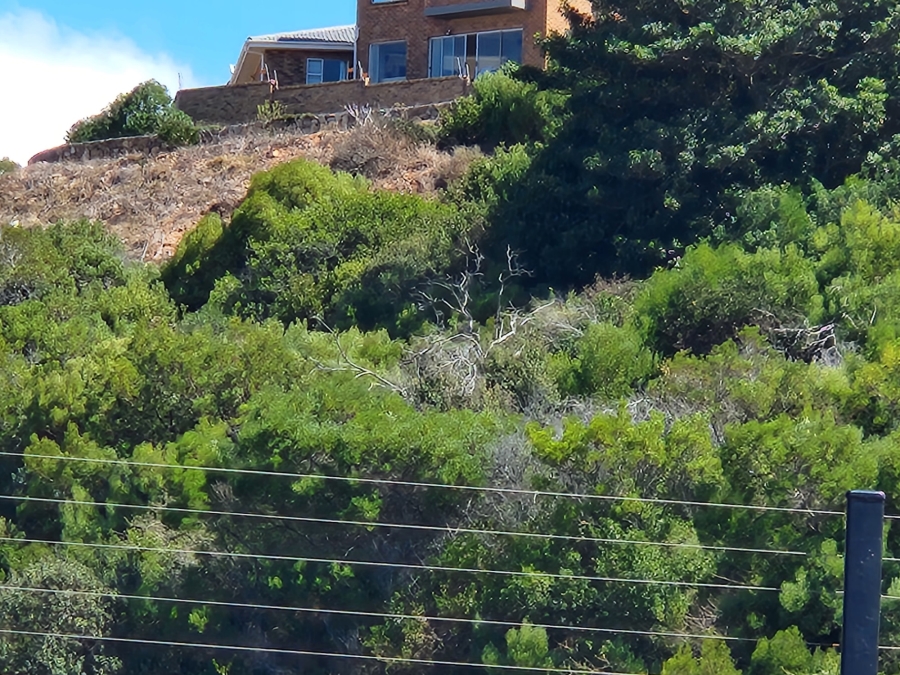 0 Bedroom Property for Sale in Menkenkop Western Cape